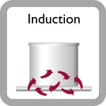 ICON_INDUCTION