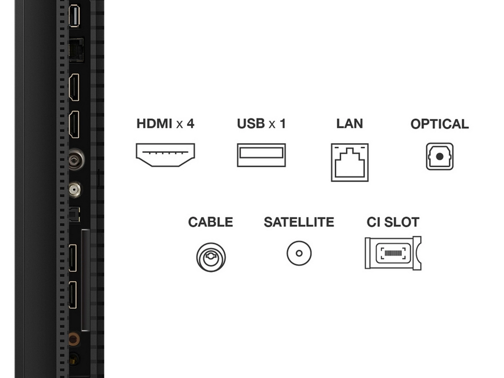 Click for enlarged image