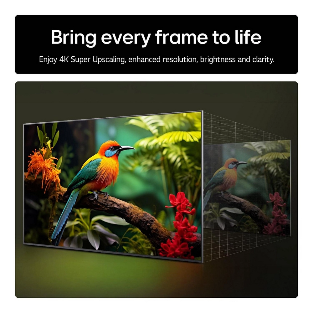 Click for enlarged image