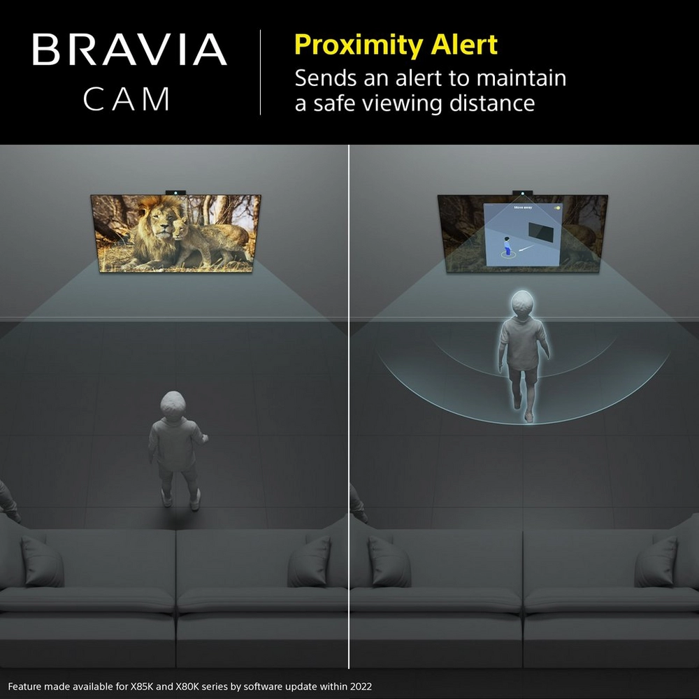 Click for enlarged image