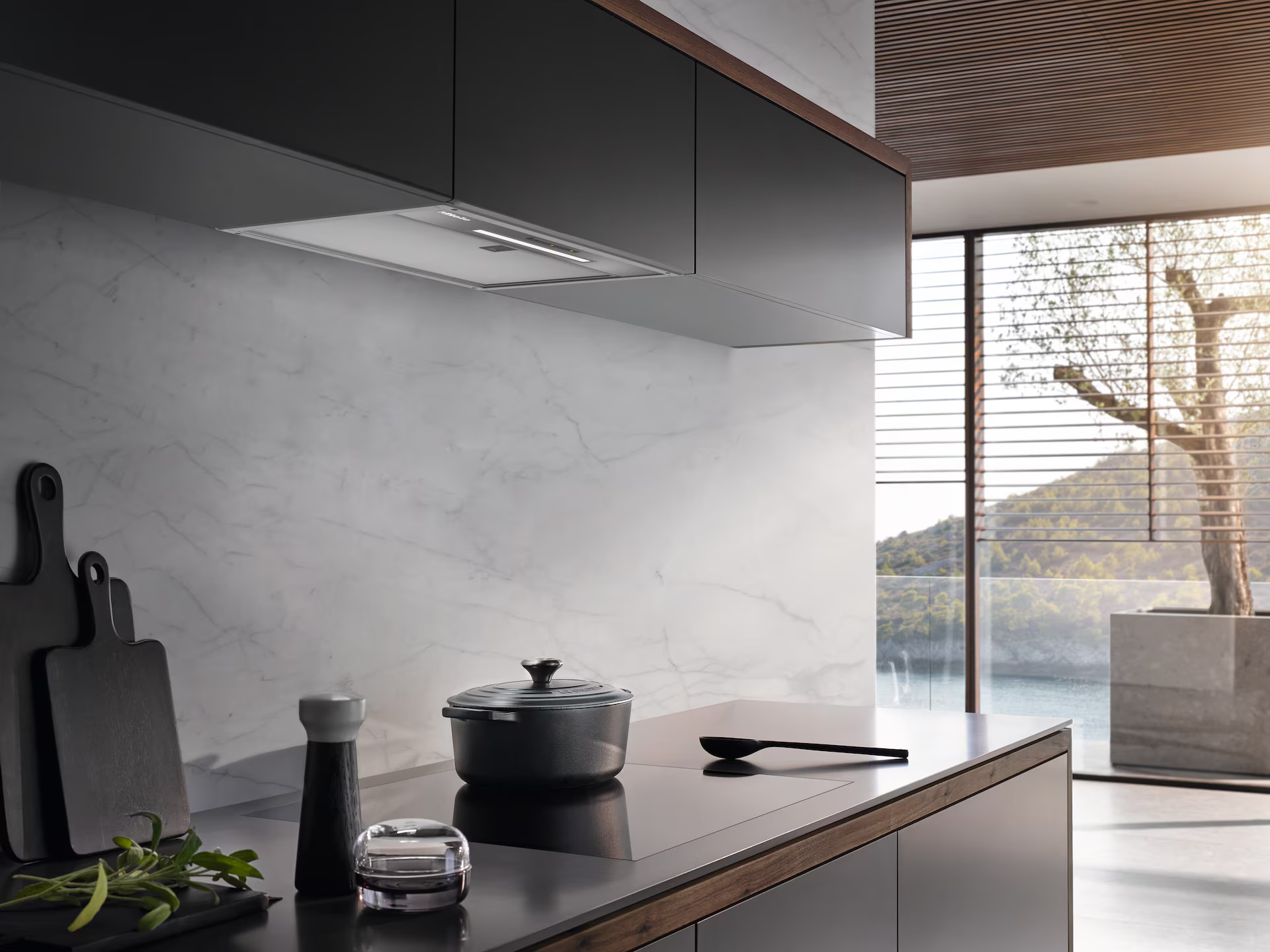 Click for enlarged image