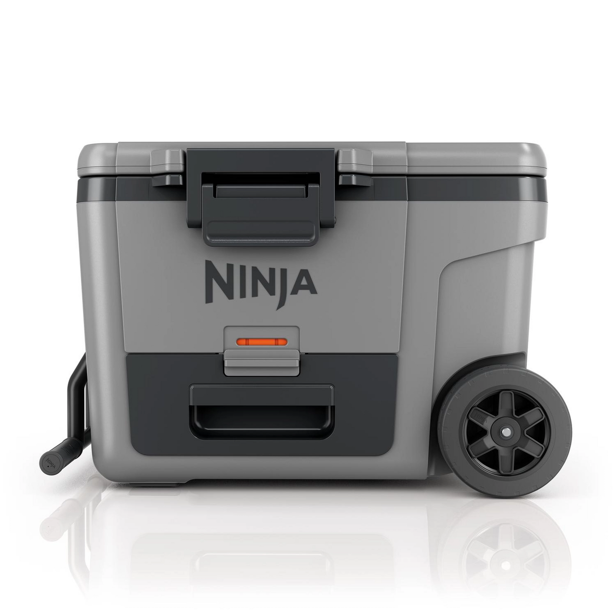 Ninja FB245UKGY
