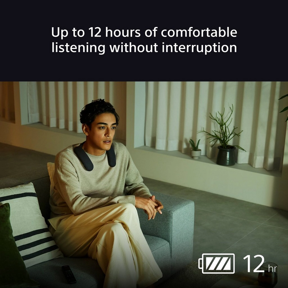 Click for enlarged image