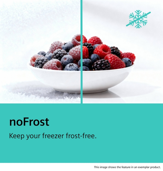 Click for enlarged image