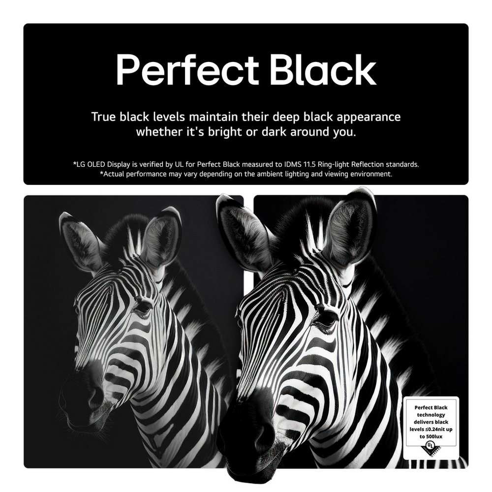 Click for enlarged image