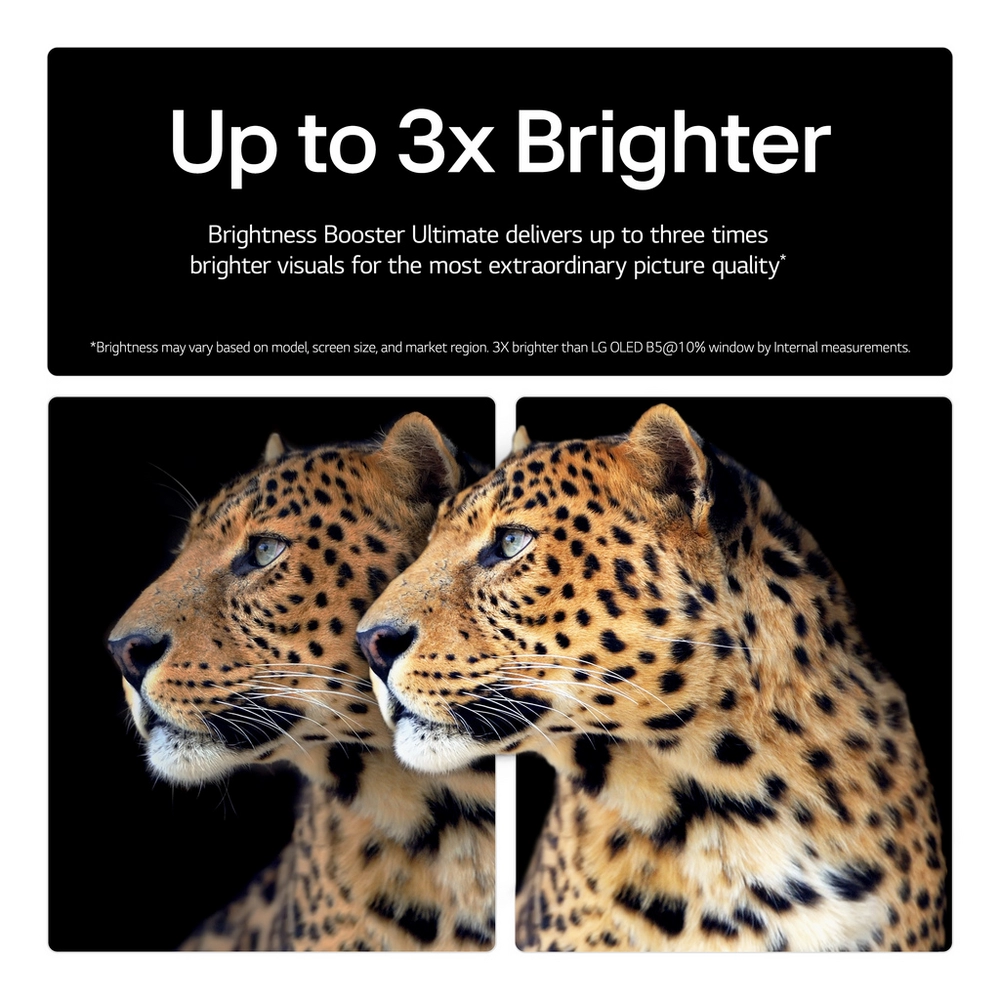 Click for enlarged image