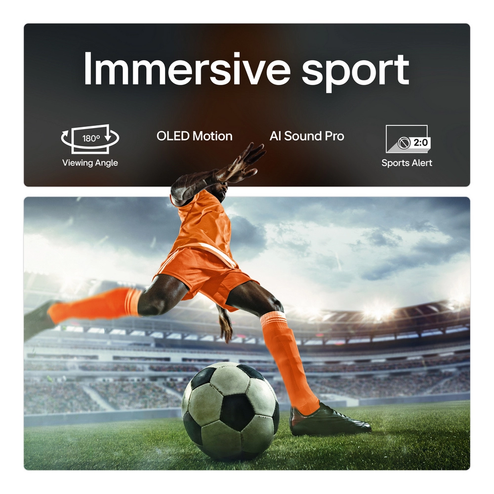 Click for enlarged image