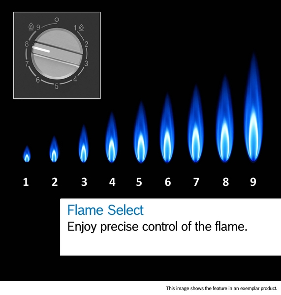 Click for enlarged image
