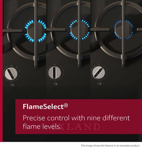 Click for enlarged image