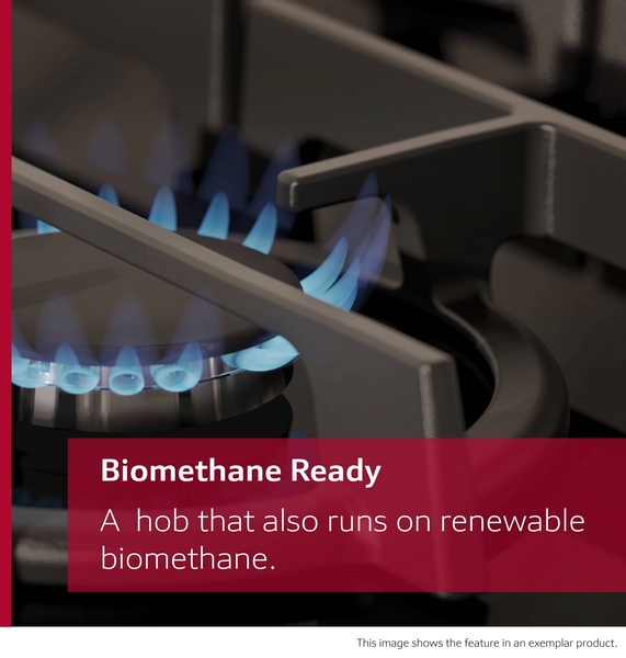 Click for enlarged image